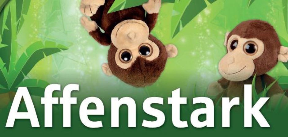 Finanzerziehung, die Spaß macht: Affenstark!
