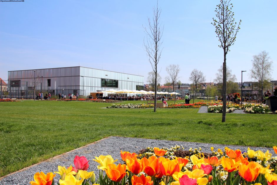 Frankenbergs Blütenmeer – 170 Tage Landesgartenschau.