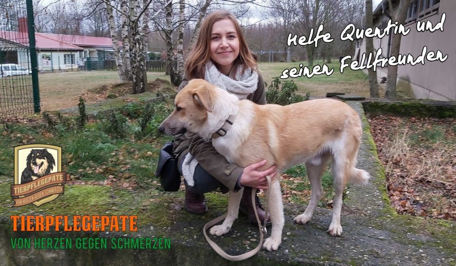 Tierpflegepate für Quentin und seine Fellfreunde: Jetzt helfen. Aktion läuft noch bis 2. Februar!