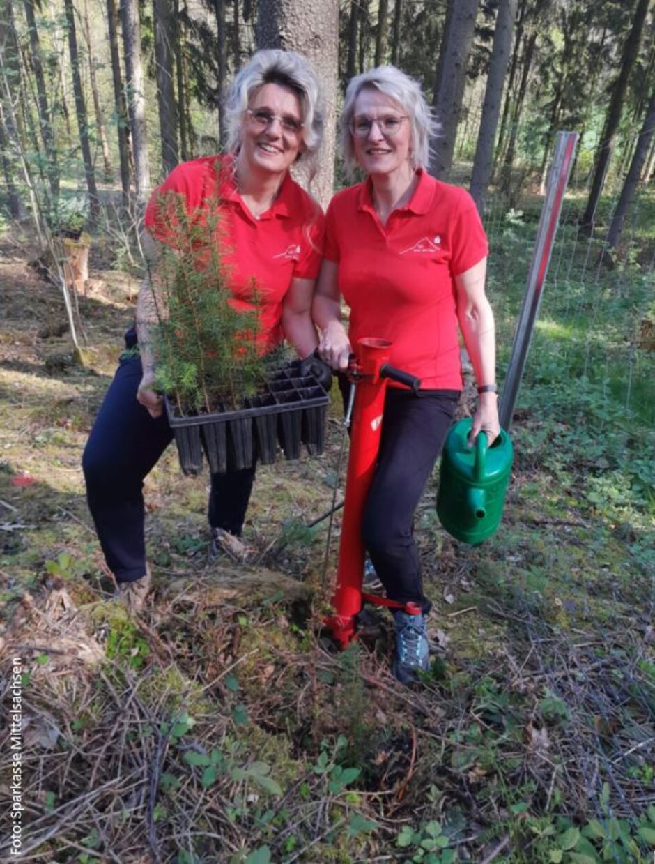 Bäume pflanzen in Augustusburg: Sparkassen-Mitarbeiterinnen helfen mit!