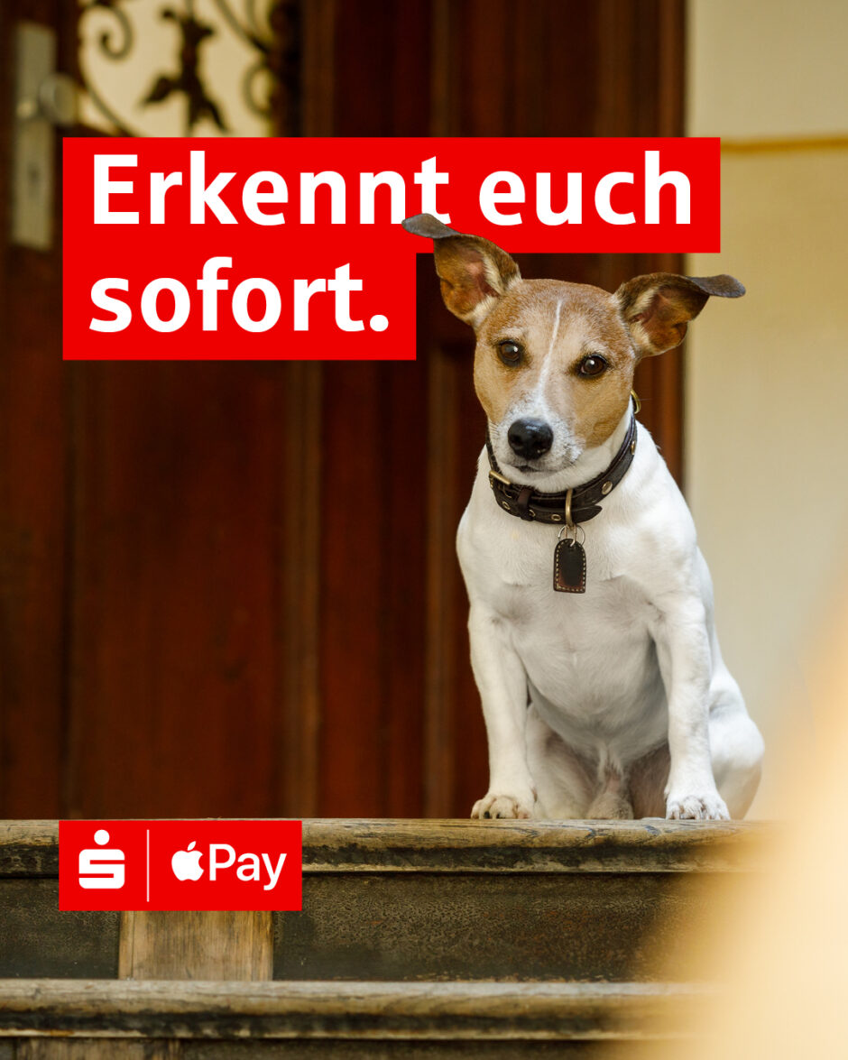 Apple Pay – so bleiben Einkäufe privat und sicher.