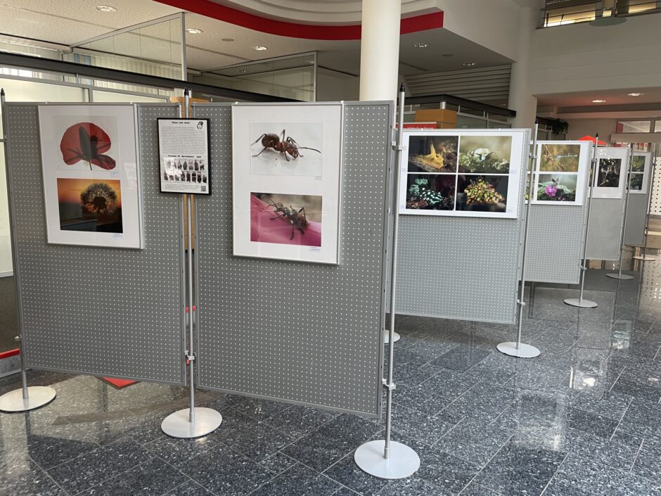 Fotografieausstellung in der Hauptfiliale Freiberg: „Ganz nah dran.“